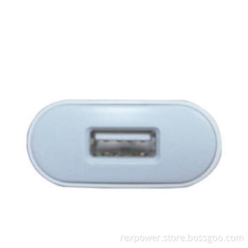Charger for iPhone with 5V DC/700mAh Maximum Output Voltage and 100-240V AC Input Voltages